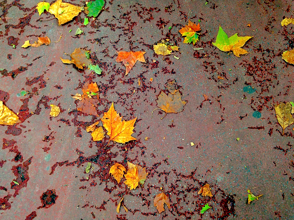 foglie-autunno